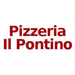 Pizzeria Ristorante Il Pontino logo