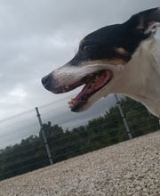 231120494-1-43Cr4feXq81779889855959.jpeg