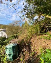 Baumdienst Behan Bild 1