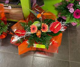 L Eclosion image 3