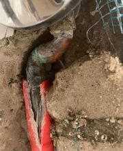 SWR-Gutachter e.K. Bild 9