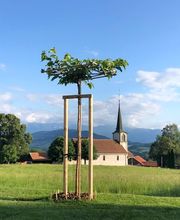 Déco Terre & Jardin SA Bild 5