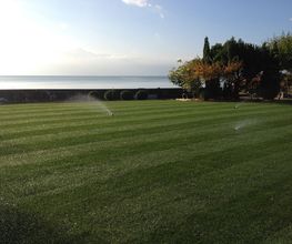 Abt Jardins et Paysages Sàrl Bild 8