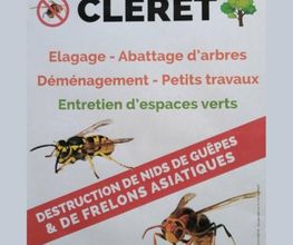 Cleret image 4