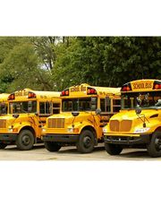 Vendetti Bus Company image 1