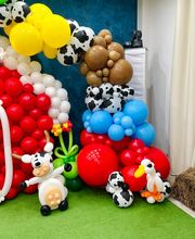 Gallery Cliente