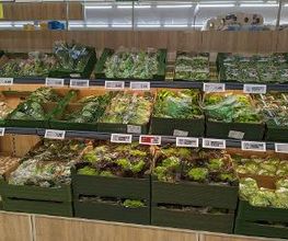 Lidl Bild 2