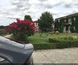 H3y Voltige image 5