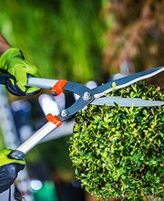 A. Giger Facility GmbH Bild 2