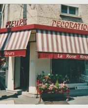La Rose Rouge image 18