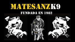MatesanzK9 Servicios Cinologicos