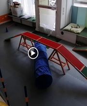 Hundezentrum Lapki Bild 13