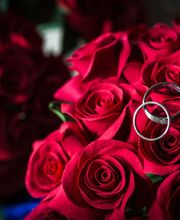 Fabien Boutet Photographies image 4