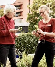 Serata Tagaktiv Bild 5