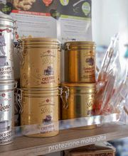 Gallery Professionale