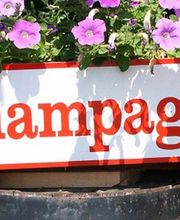 Signa Vision image 3