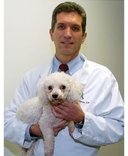 Monroe County Animal Hospital image 6