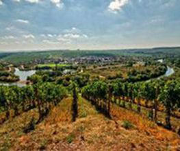 Weingasthof Markert Bild 3