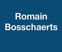 Bosschaerts Romain image 1