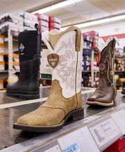 Wide Angle Interior Shot