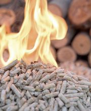 Rappaz Martial Bild 2