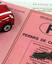 Mag Formation image 1