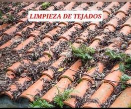 Tejados_Camarena_Tejados_Molina_8.jpeg