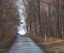 FriedWald Wolfenbüttel Bild 7