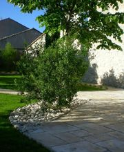 Jardinservice SARL image 14