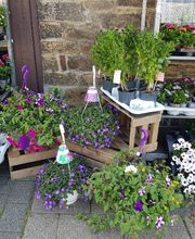 Gartencenter A-Z Velbert GmbH Bild 23