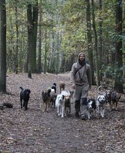 Hunde-Mobil Berlin Bild 1