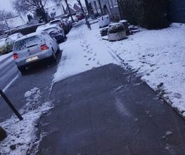 Garten-Landschaftsgärtner mit Hausmeisterservice Udo Nöll Bild 4