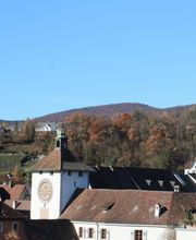 Dr. med. dent. Rohde Luzius Bild 5