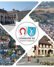 Conseiller immobilier Romain Vandensteendam SAFTI et Chroniqueur TV de l’émission « Proprio À Tout Prix Brunstatt-Didenheim image 9