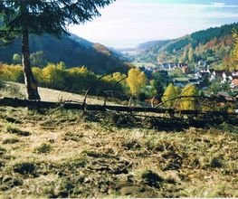 Pension Steinbergsblick Bild 6