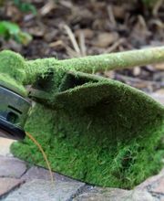 Dober Märchy Gartenpflege GmbH Bild 4