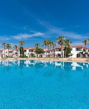 O7 Vista Picas imagen 4