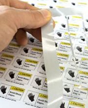 WolfMediaPress Bild 3