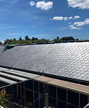 Giannasi Vincent image 2