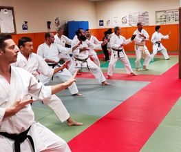 ASPB KARATE BUDO image 2