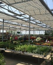 Saalebaumschule Bild 2