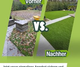 Rasenfox.de Bild 14