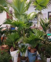 Le Quai des 4 Saisons image 4