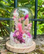 les fleurs d'Hortensia image 5