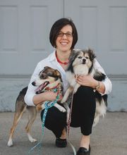 Ellicott Street Animal Hospital image 2