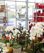 Gamm Vert - Millau image 7