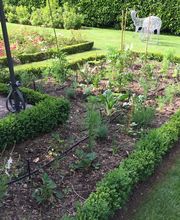 Royal Jardin sarl Bild 5