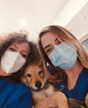 Vet Village - Policlinico Veterinario e Pronto Soccorso h24 immagine 6