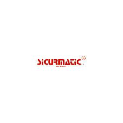 Sicurmatic S.r.l. logo