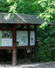 FriedWald Bremer Schweiz Bild 13
